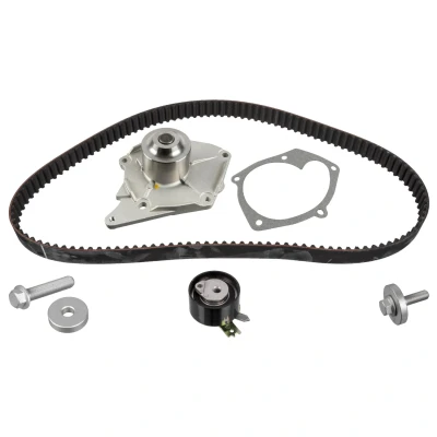 Bild av FEBI BILSTEIN 173039 pompe à eau + Kit De Distribution avec 123 RENAULT: MEGANE 3, GRAND SCENIC 2, CLIO NISSAN: Qashqai / Qashqai+2 I