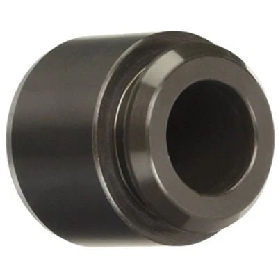 Bild av AUTOFREN SEINSA D025610 Piston, étrier de frein 30 Essieu arrière BREMBO JAGUAR: XJ Berline, S Type