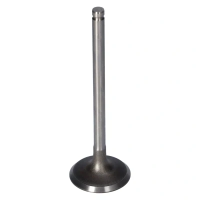 Bild av FEBI BILSTEIN 181650 Soupape d&#039;Admission 36,8 PEUGEOT: 206+ 3/5 portes, 207 206 CITROËN: C2 C3 II, Saxo portes