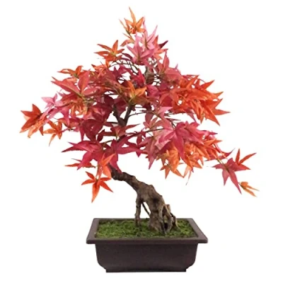 Bild av Konstgjort blad träd, blandade material, bonsai röd lönn, 50 cm