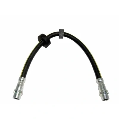 Bild av DELPHI LH0111 Flexible De Frein 355 M10x1 Int SF VOLKSWAGEN: Transporter 4 Bus,