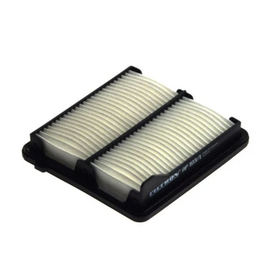 Bild av Luftfilter FILTRON AP 103/1