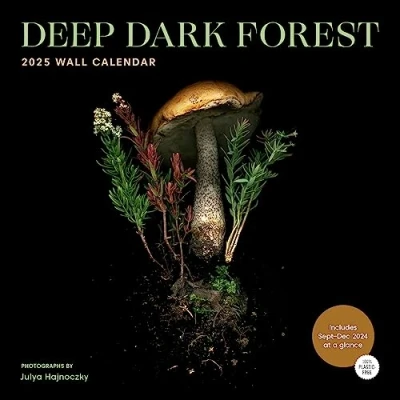 Bild av Deep Dark Forest 2025 Wall Calendar