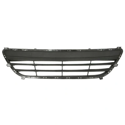 Bild av BLIC 6502 07 2537990P Grille De Pare Choc avant