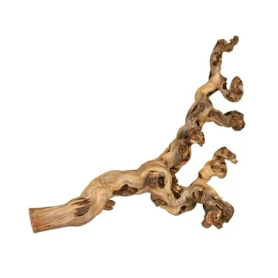 Bild av Trixie Grape Vine water blasted for birds and small animals 55 75cm