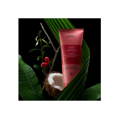 Bild av Aveda Nutriplenish Daily Moisturizing Treatment 150 ml