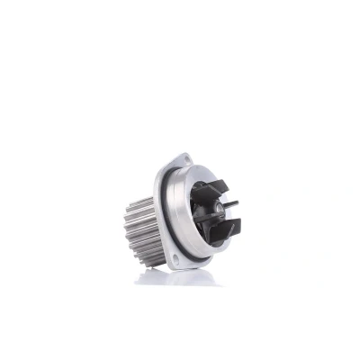 Bild av DOLZ C113 Pompe à eau 19 avec poulie PEUGEOT: 207 3/5 portes, 308 II 206 CITROËN: C3 I Berlingo / First