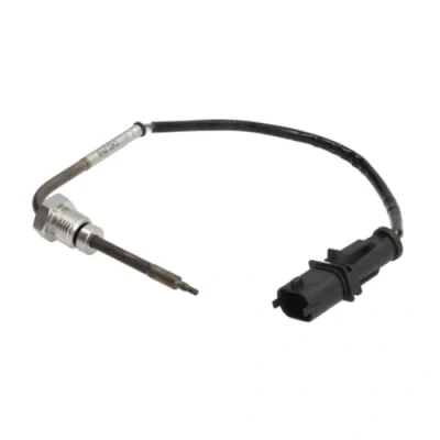 Bild av Sensor, avgastemperatur DELPHI TS30066