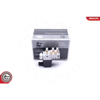 Bild av ESEN SKV 93SKV807 Valve, système d&#039;air comprimé