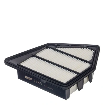 Bild av Luftfilter Hengst filter E1647L