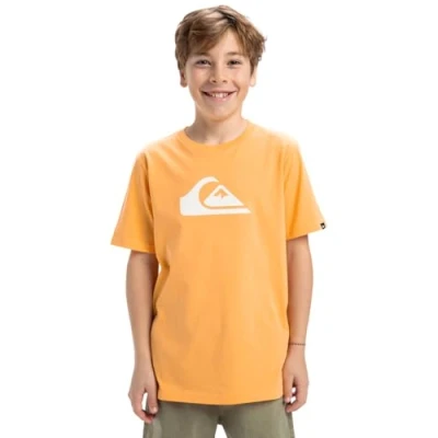 Bild av Quiksilver LOGO Unisex Tshirt med print, Storlek: 176, Ngr