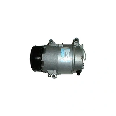 Bild av Kompressor, klimatanläggning DELPHI TSP0155351