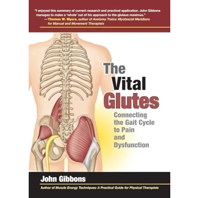 Bild av the Vital Glutes: Connecting Gait Cycle to Pain and Dysfunction