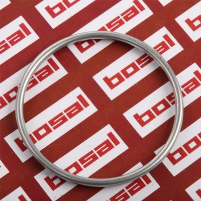 Bild av Packning, avgasrör BOSAL 256 921