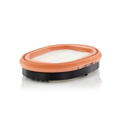 Bild av Sekundärluftfilter Mann filter CF 2550/1