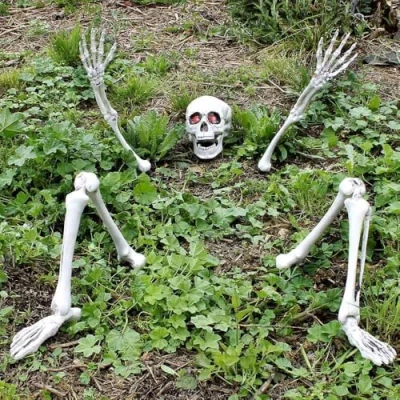 Bild av Halloweendekoration, läskig rekvisita, skrämmande festdekoration, skelett begravt i marken, dödskalle, 2 x armar och ben