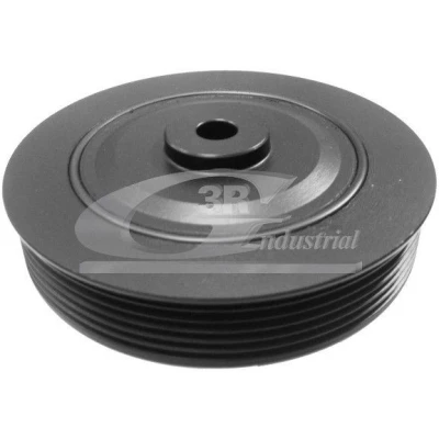 Bild av 3RG 10606 Poulie Damper 132 6 RENAULT: CLIO 1, Kangoo I Express, 2