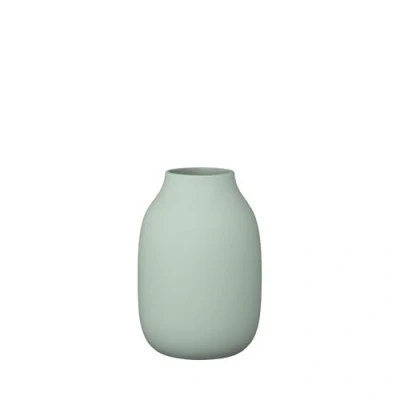 Bild av Blomus Vase Colora Vas Desert Sage H15 x L11 W11