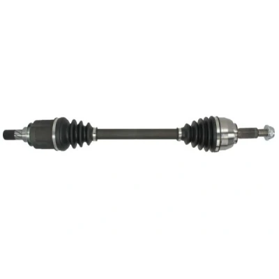 Bild av Drivaxel PASCAL G2R193PC