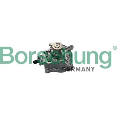 Bild av Borsehung B18774 Pompe à Vide VOLKSWAGEN: GOLF 6, Beetle Cabriolet, New 3/5 portes, AUDI: TT Coupe, Roadster