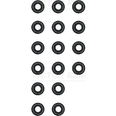 Bild av REINZ 12 52772 03 Jeu de joints d&#039;étanchéité, tige soupape NISSAN: Pathfinder 3, X Trail, NP300 Navara Pick up, RENAULT: Koleos I