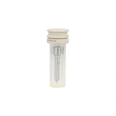 Bild av DELPHI L076PBD Injecteur