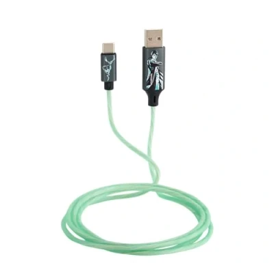 Bild av Harry Potter USB A to C Light Up 1.2m