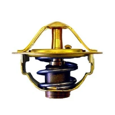 Bild av WAHLER 410352.88D Thermostat d&#039;eau 88 avec joint d&#039;étanchéite