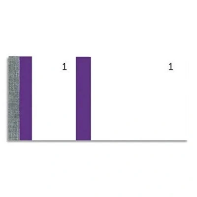 Bild av Elve biljettblock för inträdeskort, ELV, 100 blad, 60 x 135 mm, violett, 10 stycken