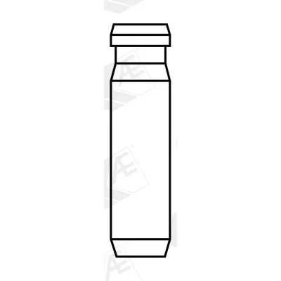 Bild av AE VAG96381 Guide de soupape 5,5 Fonte