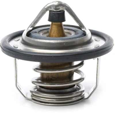 Bild av METZGER 4006400 Thermostat d&#039;eau 82 avec joint d&#039;étanchéite