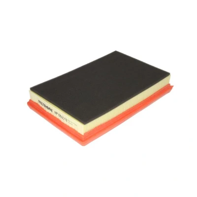 Bild av Luftfilter FILTRON AP 092/8