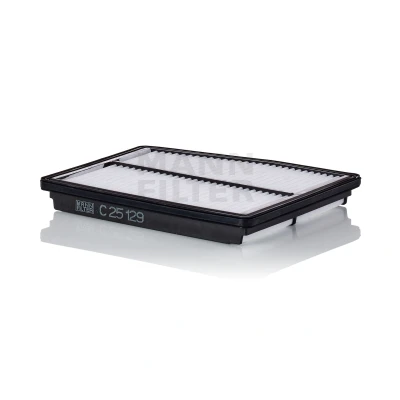 Bild av Luftfilter MANN FILTER C 25 129