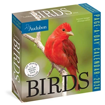 Bild av Audubon Birds Page A Day Calendar 2024: The World&#039;s Favourite Bird