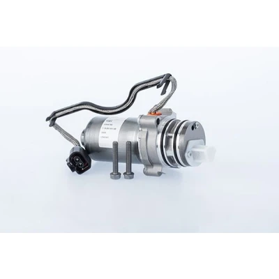Bild av Pump, lamellkoppling (allhjulsdrift) BORGWARNER DS2010678