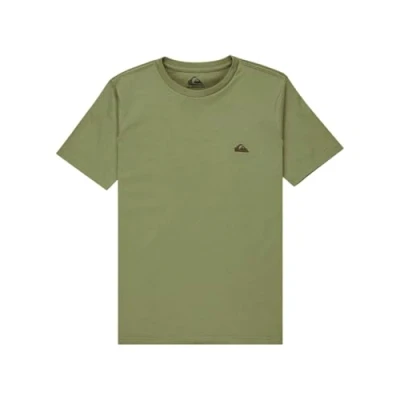 Bild av Quiksilver Basic SS kortärmad T shirt pojke 816 år grön 14