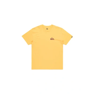 Bild av Quiksilver EV MINI LOGO SS Tshirt bas, Storlek: XS, Ngr