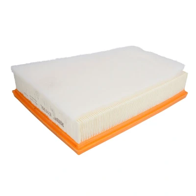 Bild av Luftfilter Hengst filter E1135L