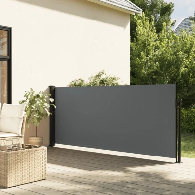 Bild av vidaXL Indragbar sidomarkis antracit 100x300 cm