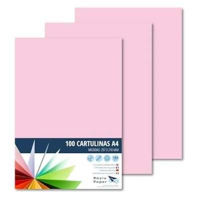 Bild av Raylu Paper® A4 kartonger 100 stycken rosa, 180gr 210 x 297 mm, mjuk känsla, perfekt för bindning, kontorsarbete, ritning, hantverk, lämpliga skolanvändning. (Rosa)