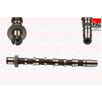 Bild av FAI AutoParts C276 Arbre à Cames pour cylindres 1 3 AUDI: A4 B6/B7 Cabriolet, A6 C5 Berline, B6 Avant, VOLKSWAGEN: Passat B5 GP Berline