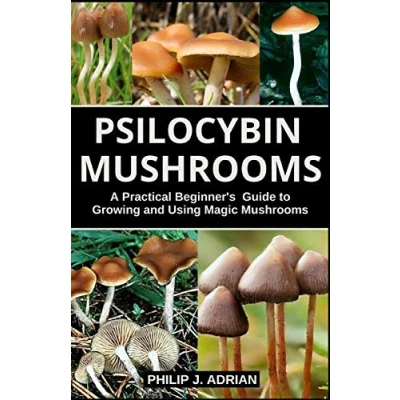 Bild av Psilocybin Mushrooms: A Practical Beginners Guide to Growing and Using Magic Mushrooms Indoors
