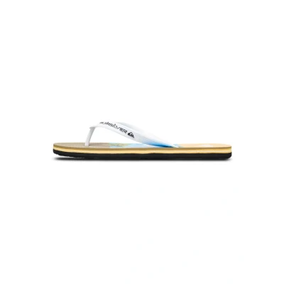 Bild av Quiksilver Molokai Stripe 25 Badsandaler, Storlek: 40, Blq6 Konstmaterial