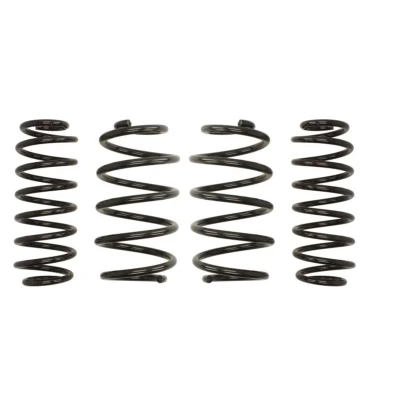Bild av Upphängningssats, spiralfjädrar Eibach E10 79 006 09 22
