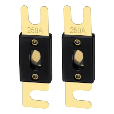 Bild av Heschen ANL Fuse 250 Amp för bilfordon ljudsystemblad guldton och svart 2 pack