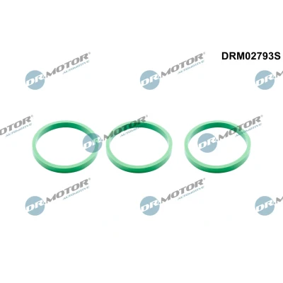 Bild av DR.MOTOR AUTOMOTIVE DRM02793S Packningssats, insugsgrenrör AUDI: A6 C7 Avant, C6 Avant
