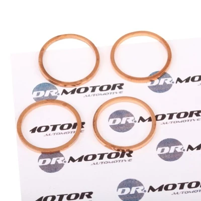Bild av DR.MOTOR AUTOMOTIVE DRM063S Ecran absorbant la chaleur, injection CITROËN: Jumpy I MPV, Van, Berlingo / First