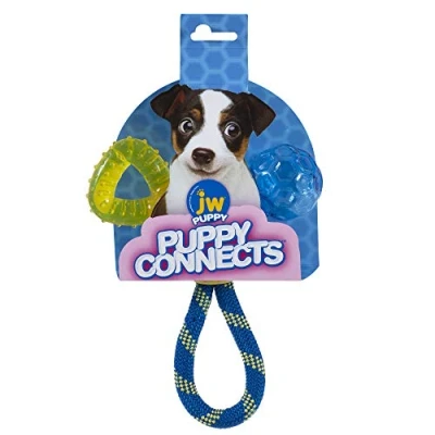 Bild av JW Puppy Connects