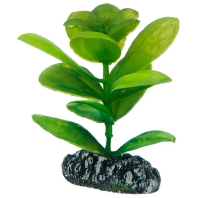 Bild av Dohse Saururus 7 cm