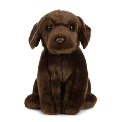 Bild av Living Nature Soft Toy mjuk leksak labrador, brun (20 cm), okänd